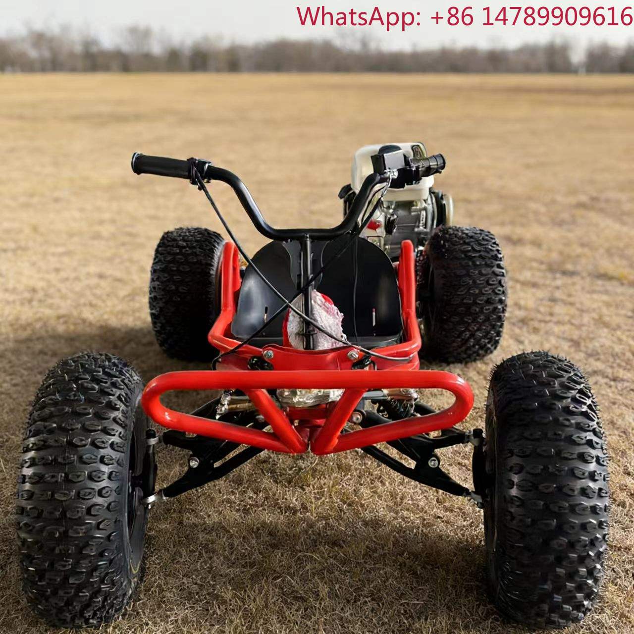 Outdoor Power Wheels - 212cc 4-Stroke Gas Powered Go-Kart 10-Inch