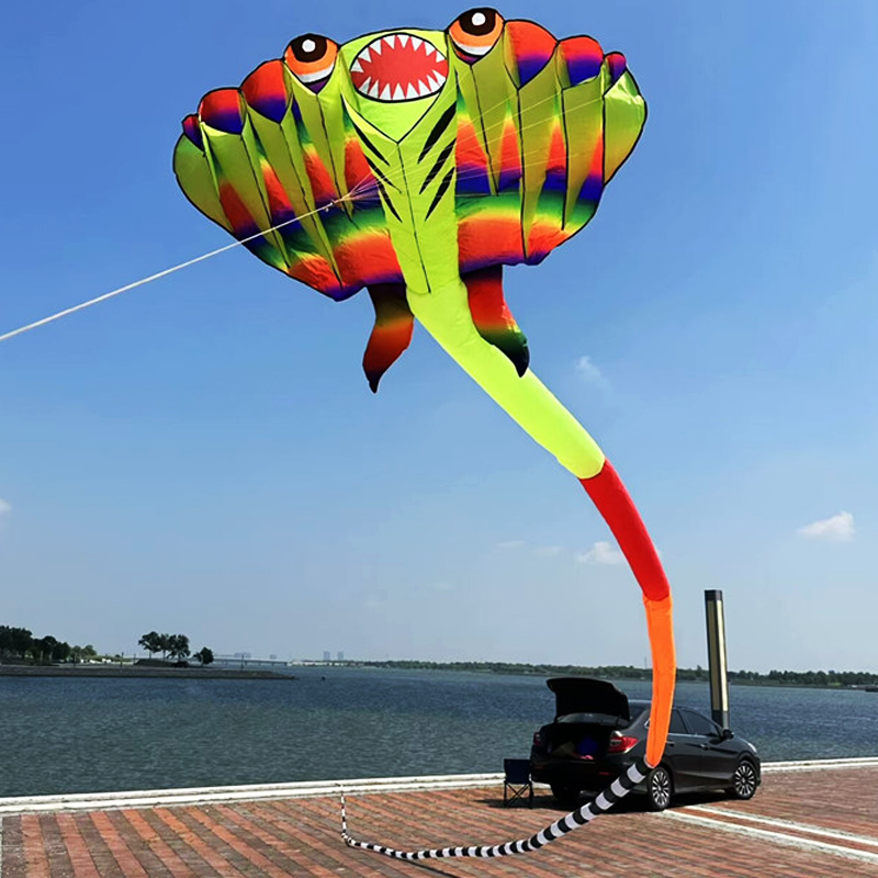 Outdoor Power Reel - 3D 12.5M 2-color Ray Soft Kite