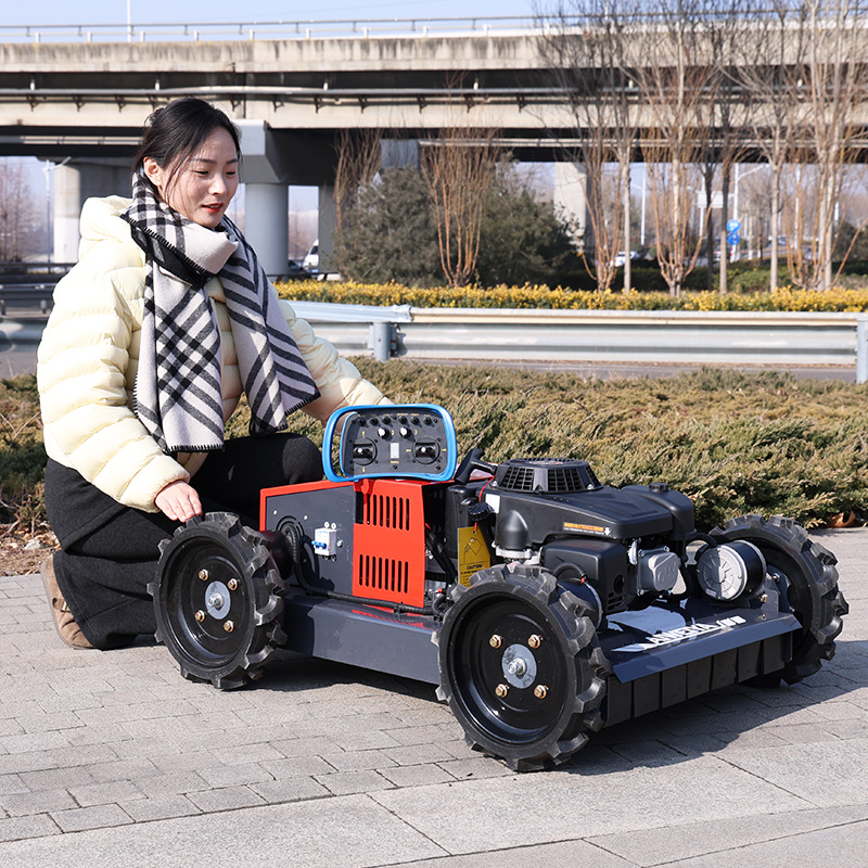 Customized Factory 500mm Diese - огляд і ціна Hedge Trimmer Cordless