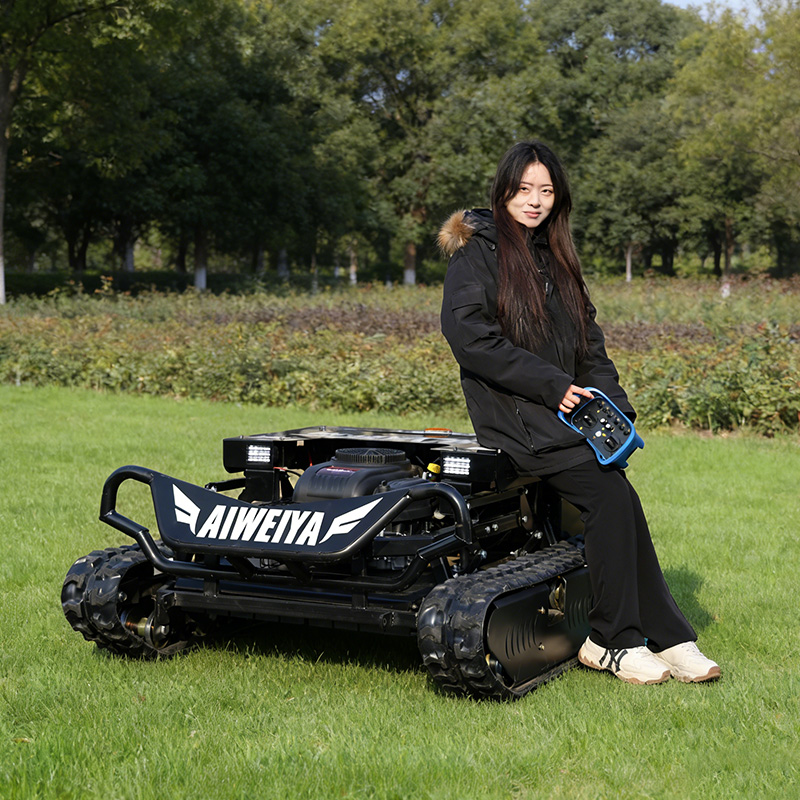 Customized Remote Control Lawn - огляд і ціна Hedge Trimmer Cordless
