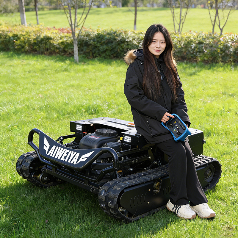 Customized Remote Control Lawn - огляд і ціна Hedge Trimmer Cordless