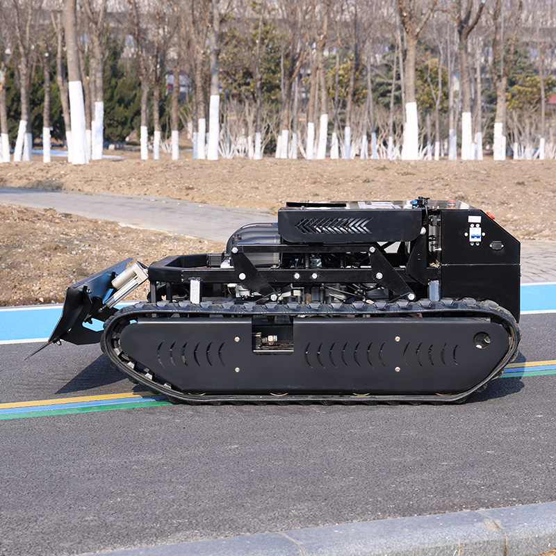 Customized Tracked Remote Cont - огляд і ціна Hedge Trimmer Cordless