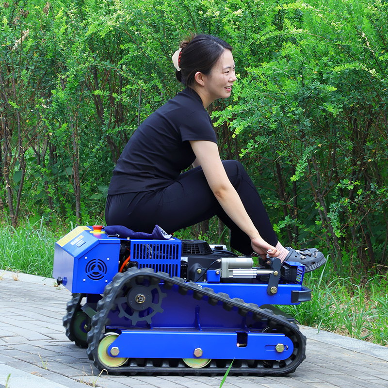 Customized Remote Controlled G - огляд і ціна Hedge Trimmer Cordless