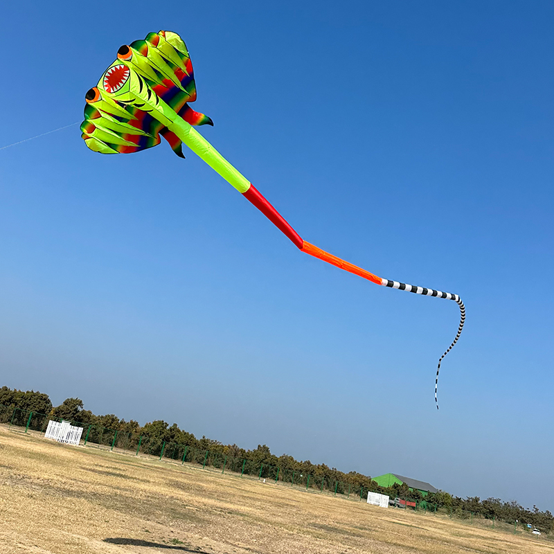 3D 12.5M 2-color Ray Soft Kite - огляд і ціна Outdoor Power Reel